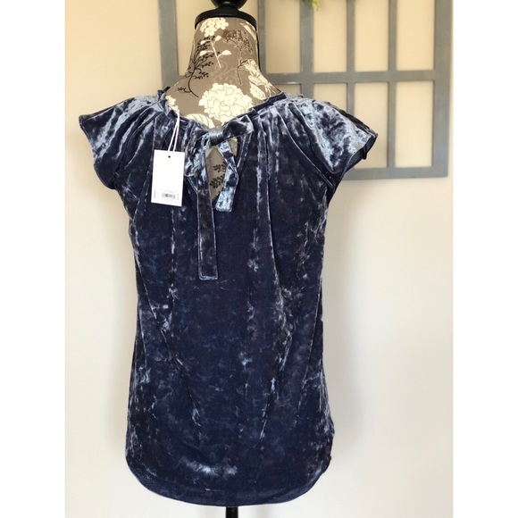 NWT velvet pleat neck top - Picture 3 of 4